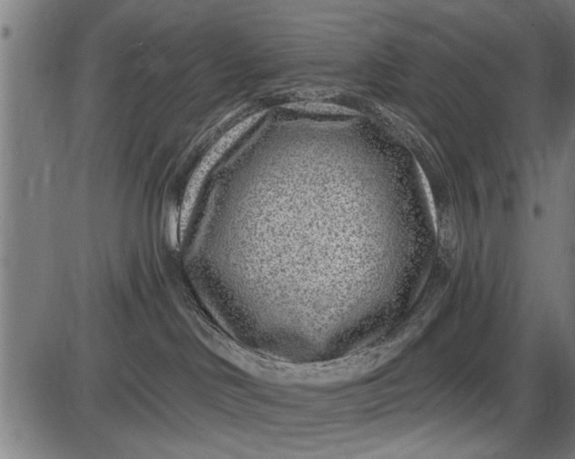 X0000086100046200704091404