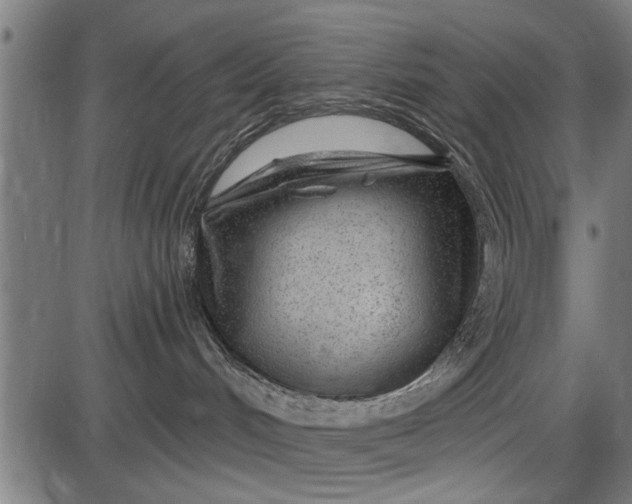 X0000086100048200704091404