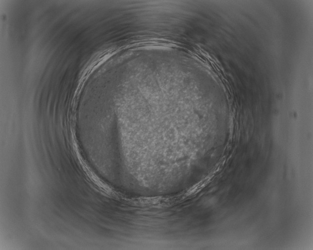 X0000086100049200704091403