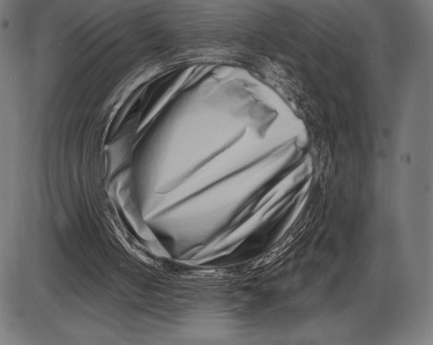 X0000086100050200704091403