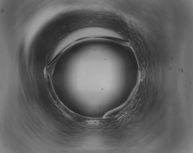 X0000086100052200704091403