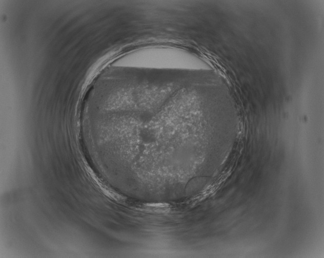 X0000086100053200704091403