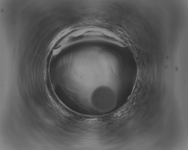 X0000086100054200704091403