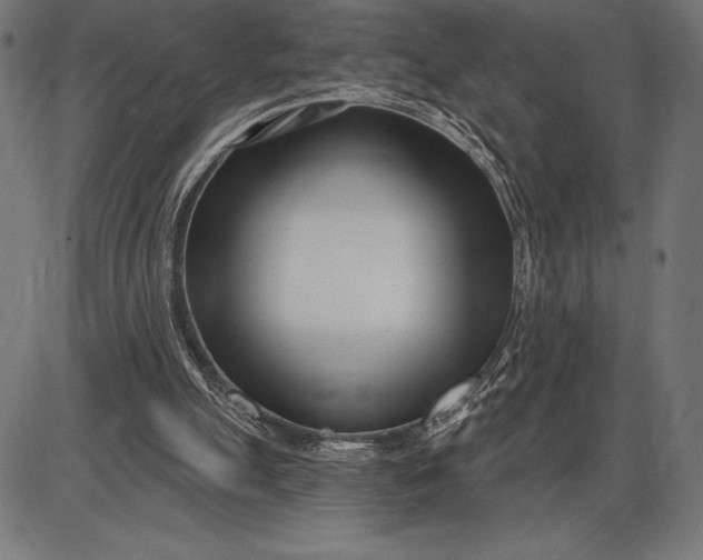 X0000086100055200704091403