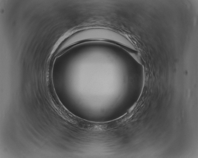 X0000086100056200704091403