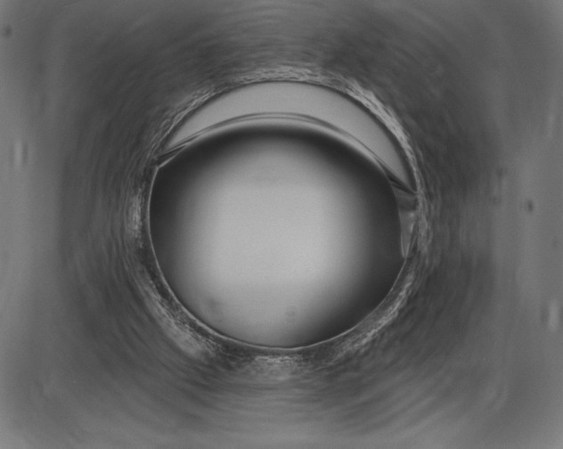 X0000086100057200704091403