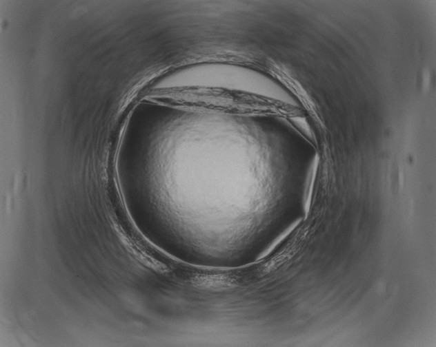 X0000086100058200704091403