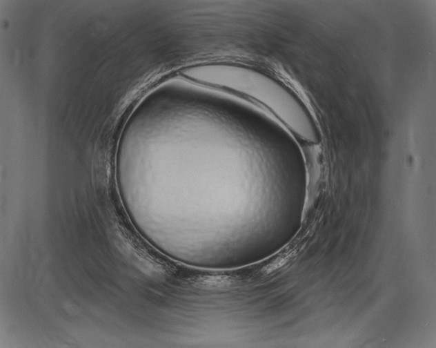 X0000086100059200704091403