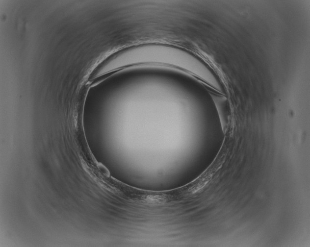X0000086100060200704091403