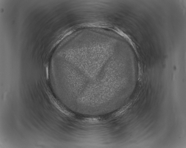 X0000086100061200704091403