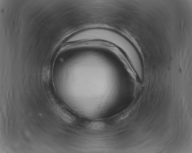 X0000086100063200704091403
