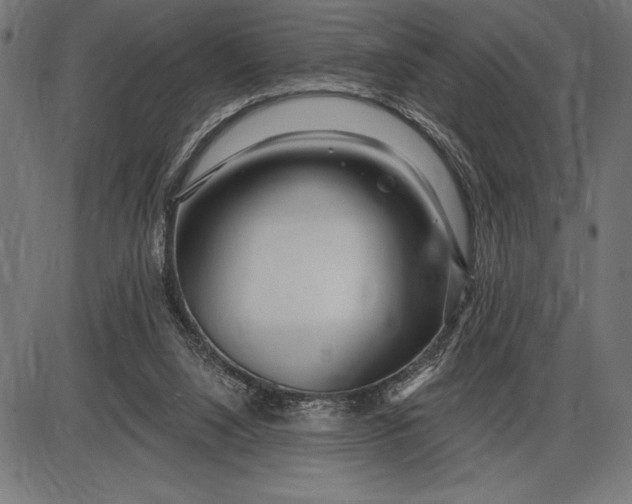 X0000086100064200704091403
