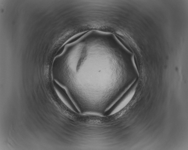 X0000086100066200704091403