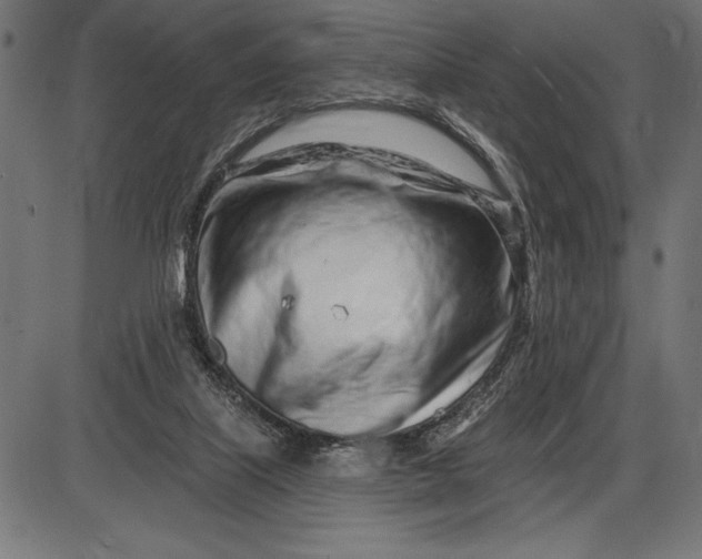 X0000086100067200704091403