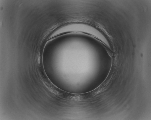 X0000086100068200704091403