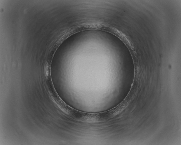 X0000086100069200704091403