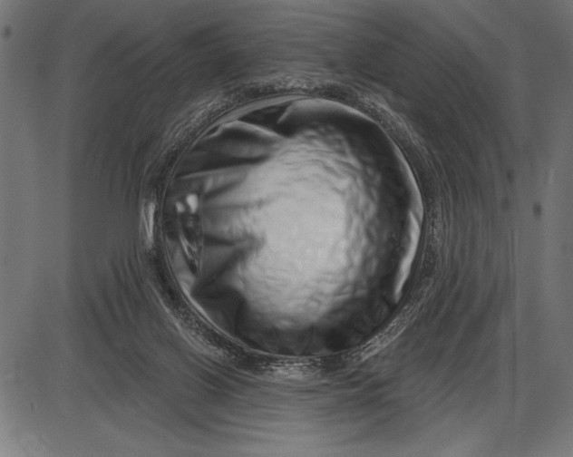 X0000086100070200704091403