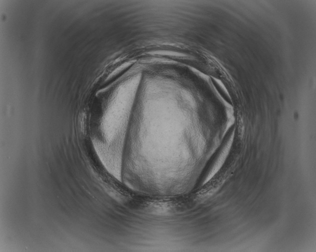 X0000086100071200704091403