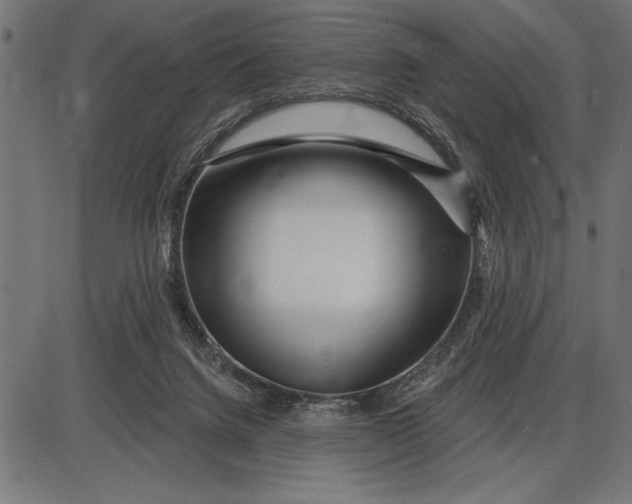 X0000086100072200704091403