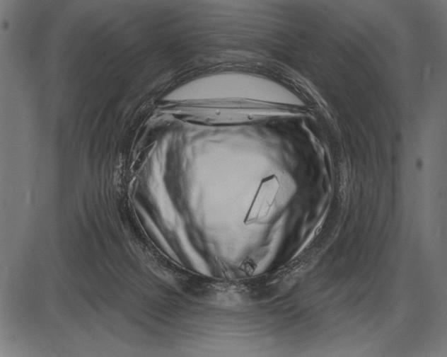 X0000086100073200704091403