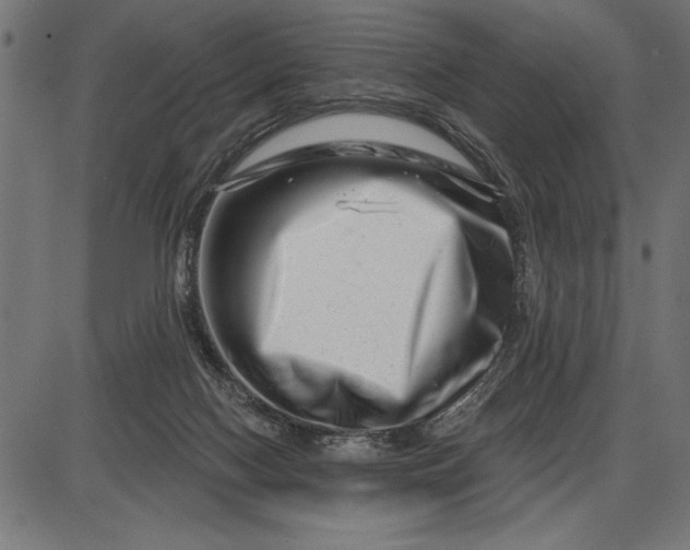 X0000086100074200704091403