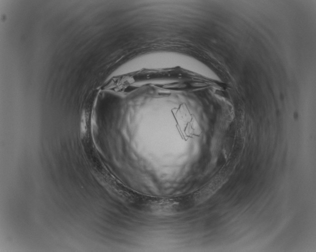 X0000086100075200704091403