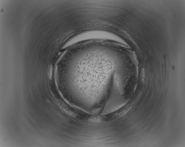X0000086100076200704091403
