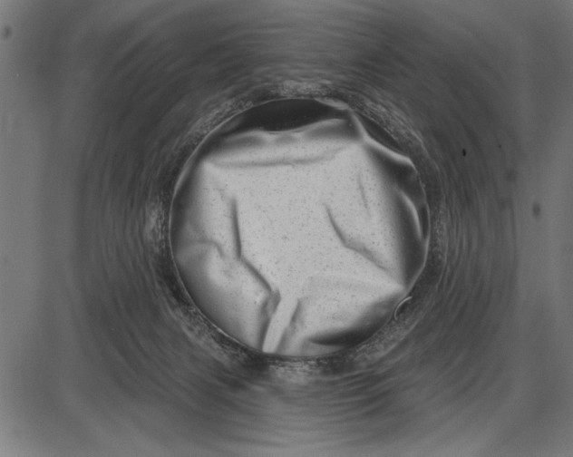 X0000086100079200704091403