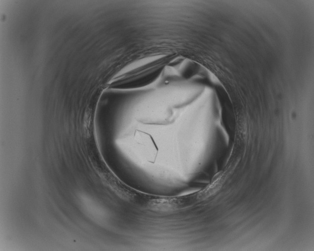 X0000086100082200704091403