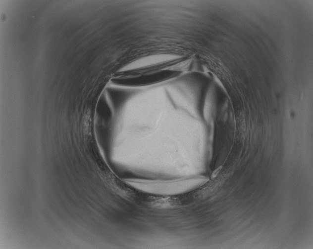 X0000086100083200704091403