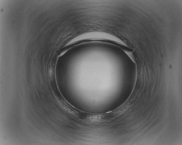 X0000086100084200704091403