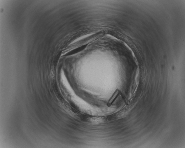 X0000086100085200704091403