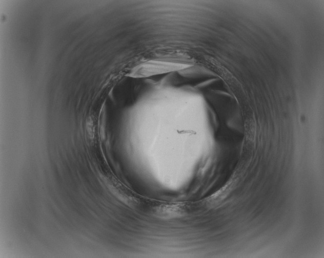 X0000086100086200704091403