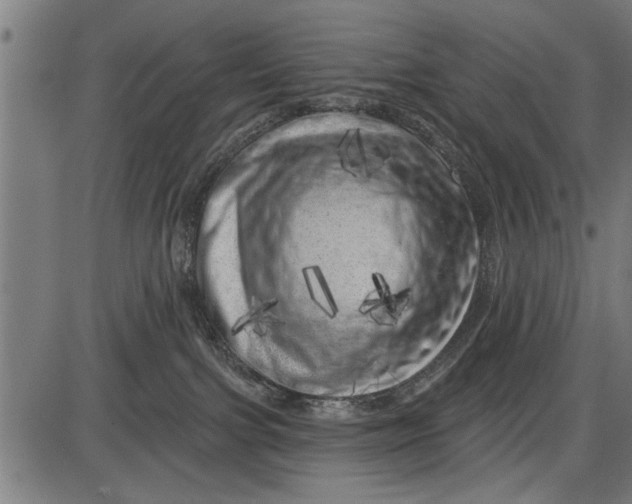X0000086100091200704091404