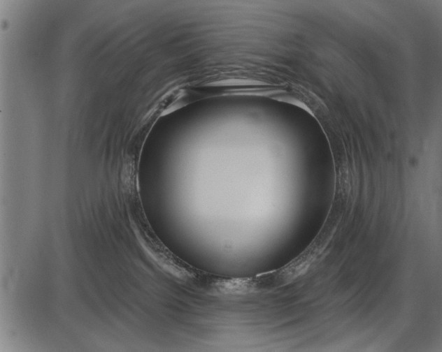 X0000086100092200704091404