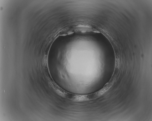 X0000086100093200704091404