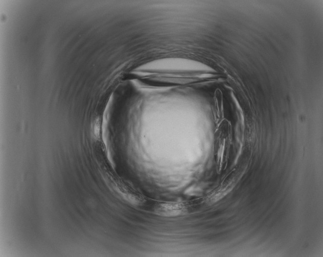 X0000086100095200704091404