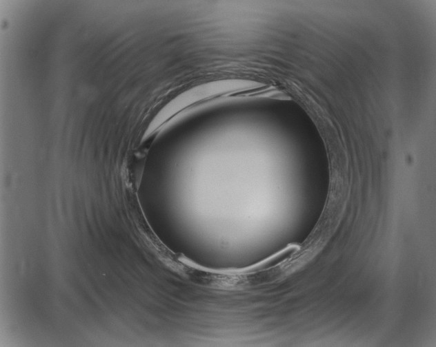X0000086100096200704091404