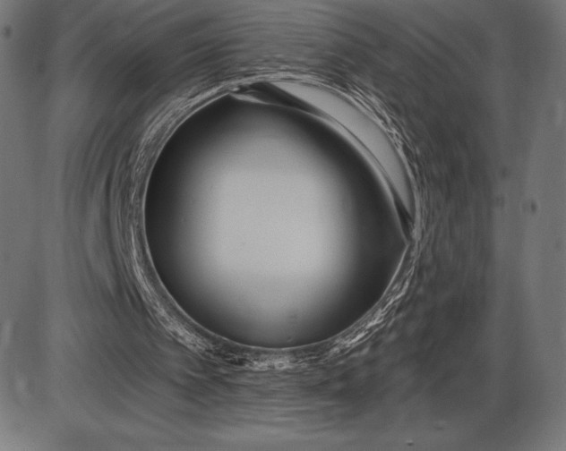 X0000086100097200704091403
