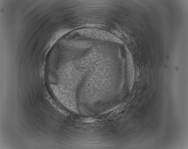 X0000086100098200704091403