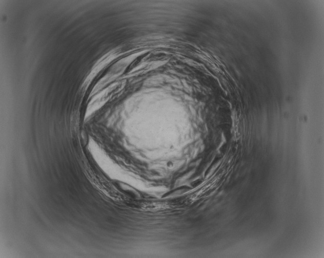 X0000086100099200704091403