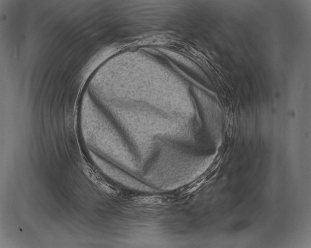 X0000086100100200704091403