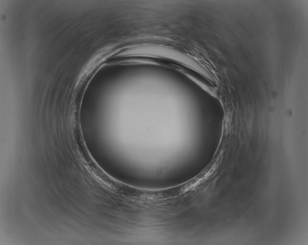 X0000086100101200704091403