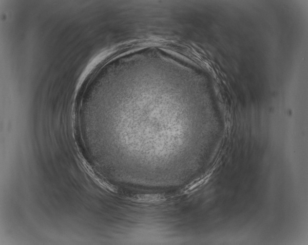 X0000086100102200704091403