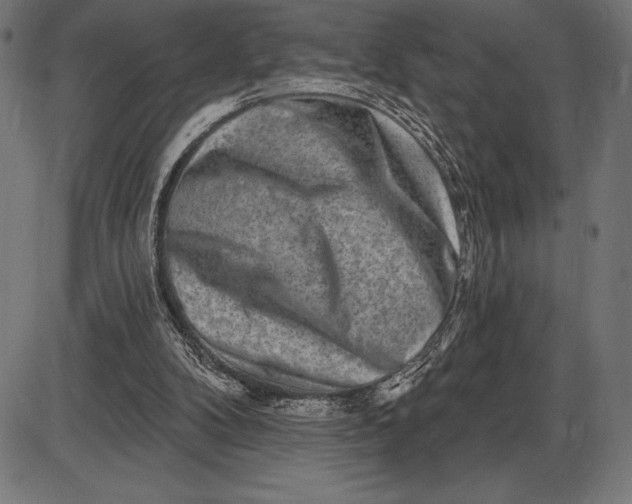 X0000086100104200704091403