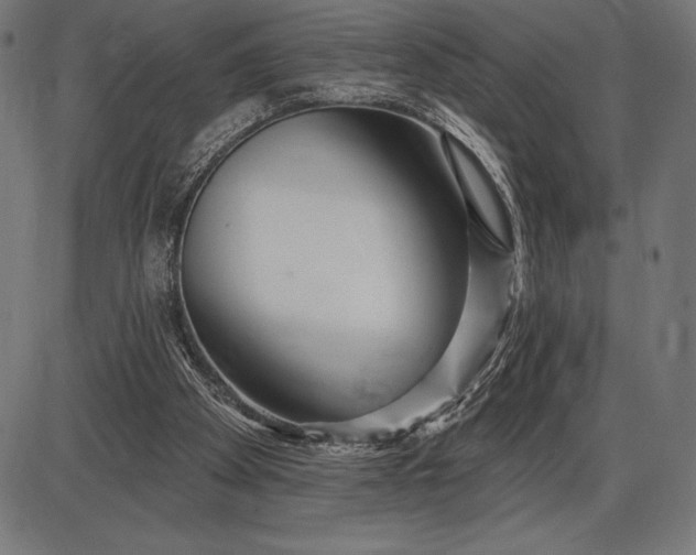 X0000086100105200704091403