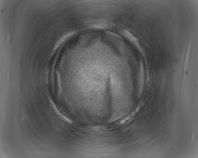 X0000086100106200704091403