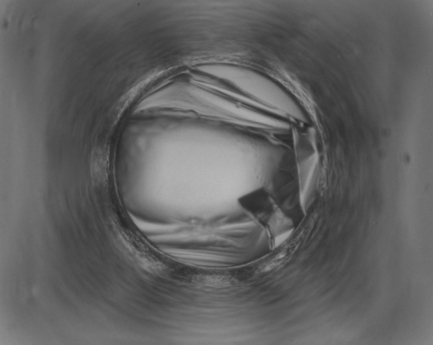 X0000086100107200704091403