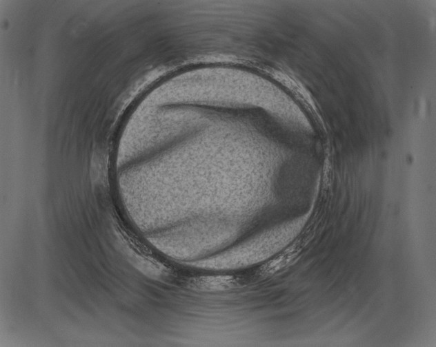 X0000086100108200704091403