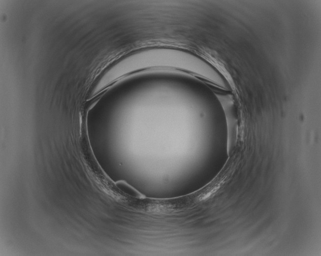 X0000086100109200704091403